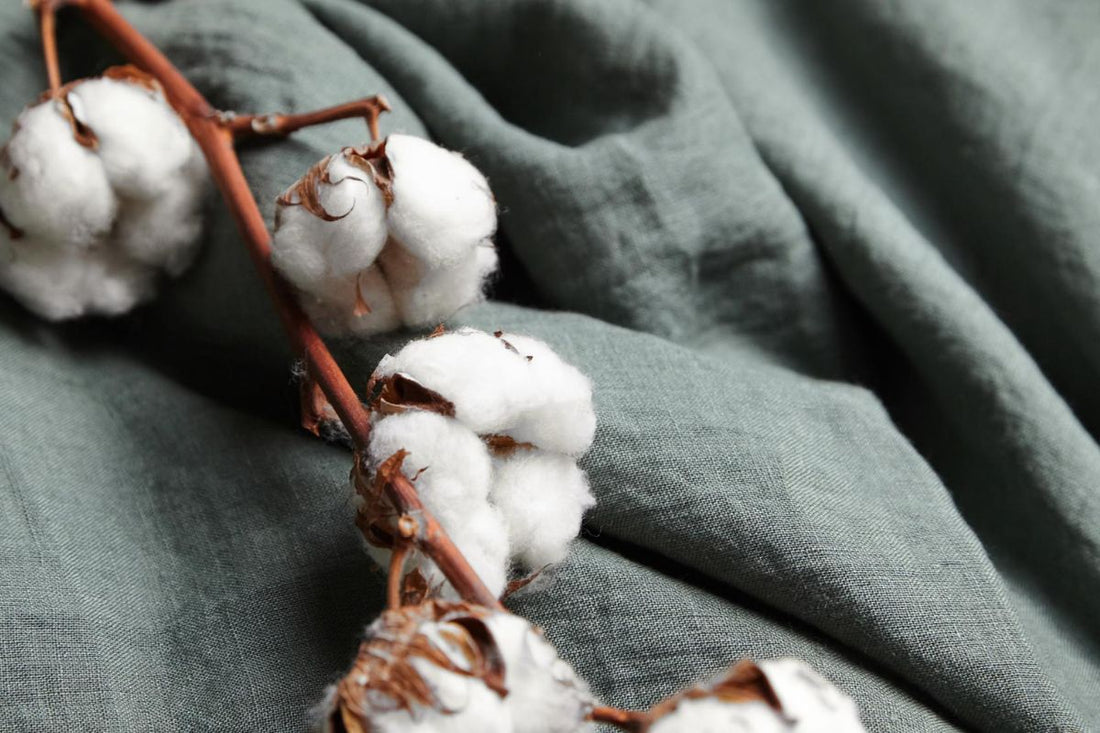 The Journey of Cotton from Plant to Fabric